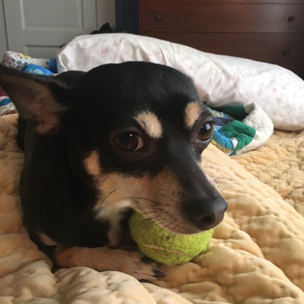 Meet your Posher, Kimberlyn